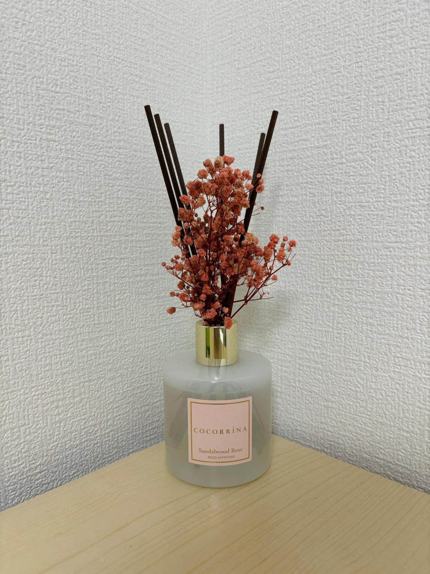 Bon House Kanamachi Direct To Sensoji Skytree Disneyland Airport Free Parking Tokyo Luaran gambar